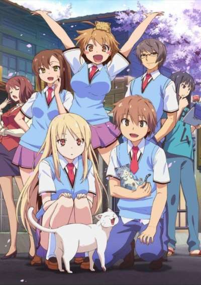 پوستر Sakura-sou no Pet na Kanojo