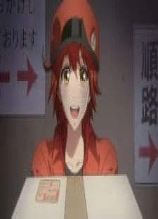 پوستر Hataraku Saibou CM